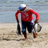 Barka - Fischer bringt seinen Fang zum Markt